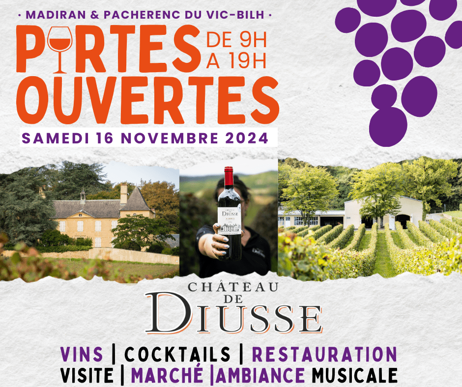 Journée Portes Ouvertes Château de Diusse